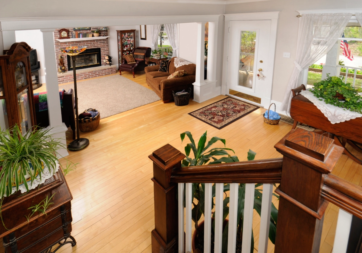 Bright room with plants and furniture